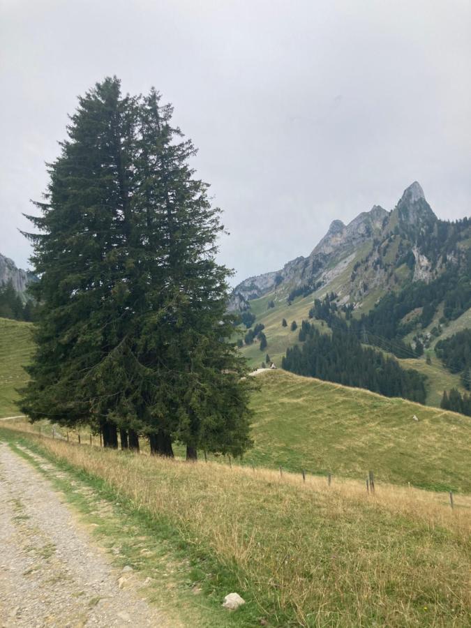 Chalet Alte Post Bad-Schwarzsee Eksteriør bilde